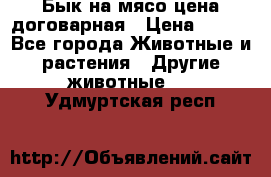 Бык на мясо цена договарная › Цена ­ 300 - Все города Животные и растения » Другие животные   . Удмуртская респ.